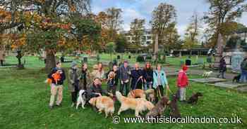Dog owners' fury at call for ban at cemetery where Paddington writer is buried