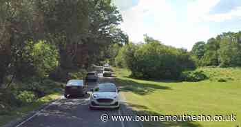 Woman dies after incident involving cow