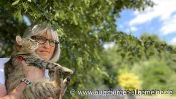 Willkür und Schikane: Transfrau erhebt nach Zeit im Gefängnis schwere Vorwürfe