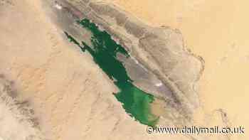 Floods hit... the SAHARA! Shocking before and after satellite images show a huge lake emerging after the desert was struck by its biggest deluge for decades