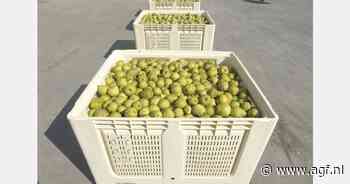 Nieuwe Euro Jumbo bak voor export van AGF