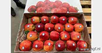 "Het zal een uitdaging zijn om premium fruit te vinden voor lange doorvoer"