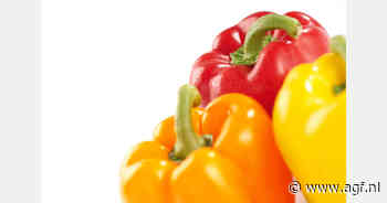 Tarieven KCB omhoog in 2025