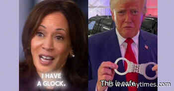 TikTok Campaign Styles: Harris Remixed, Trump Filtered