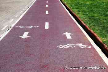 Gemeente gaat twee fietspaden vernieuwen: “Fietspad omhoog geduwd door boomwortels”