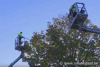 Ruim twee maanden voor Kerstmis verschijnt er al kerstversiering in de straten