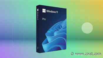 Grab Microsoft Windows 11 Pro While It’s Just $20