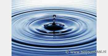 Nu al meer regen in Nederland dan normaal in een heel jaar