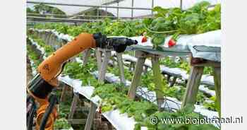 AI als aanjager van de landbouwtransitie