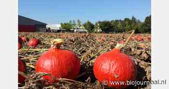 “Als je met biologisch product werkt, is de communicatie met de klanten net iets meer open”