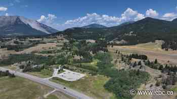 How fungi is being used to grow superplants in bid to restore damaged grasslands