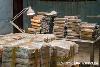 Eerst vrijgesproken door ‘flater’ van parket, nu zijn Genkse broers toch veroordeeld voor drugshandel