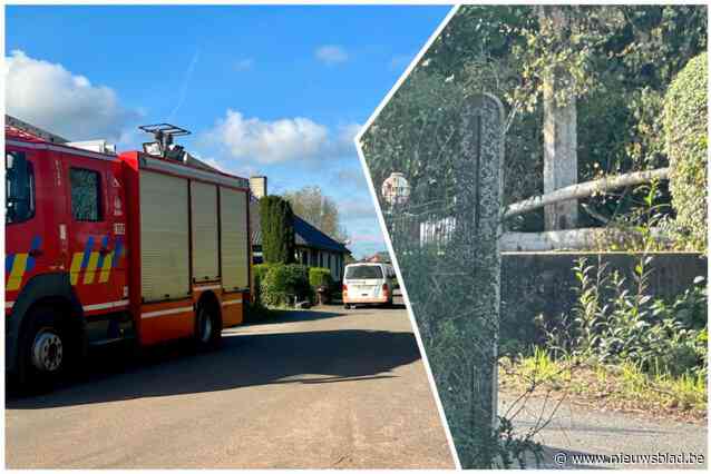 Vrouw (79) sterft nadat ze onder boom terechtkomt die haar man (80) had omgezaagd