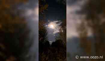 Samen griezelen in Triangel