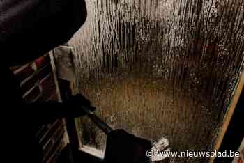 Vier woninginbraken in Herk-de-Stad