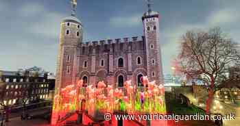 Tower of London to host special light show this November and you can get tickets