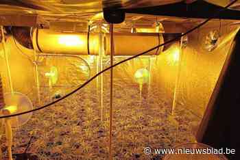 Cannabisbende krijgt tot dertig maanden effectief voor twee plantages