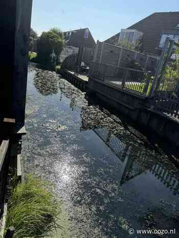 Overlastmelding Zeilmaker in Landsmeer gesloten