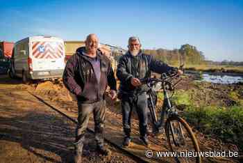 Dichtgooien van vijver stilgelegd na klacht van buurtbewoner: “Ondertussen zijn al honderden vissen vermoord”