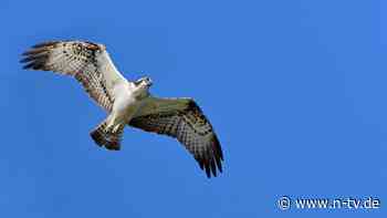 BUND reicht Klage ein: Regierung droht neues Ungemach in Karlsruhe