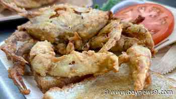 Simple recipe lets softshell crab shine