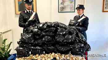 Il recidivo dello Zodiaco "beccato" con dodici chili di oppio