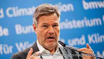 Habeck will Wirtschaft mit Investitionsfonds ankurbeln