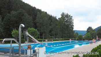 Freibadsanierung in Bad Wildbad: Mutig – oder gefährlich?