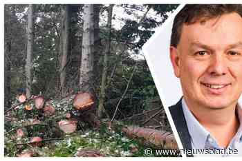 Vragen rond illegale bomenkap in Flora: “Waarom duurde het twee dagen vooraleer er ingegrepen werd?”