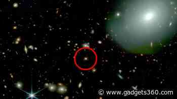 JWST Spots Isolated Supermassive Black Hole-Powered Quasars in the Early Universe