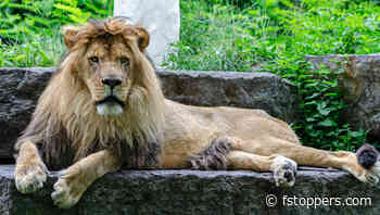 What’s New in Adobe Lightroom Classic 14.0: Key Updates Explained