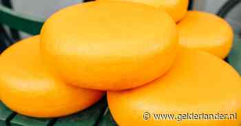 Stiefzoon veroordeeld voor groot drugslab bij bekende Twentse kaasboer