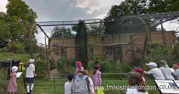 DO NOT approach parrots on the loose which escaped from London Zoo