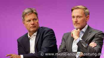 Lindner zu Habecks Fonds-Idee: „Das ist schon ein Hammer“