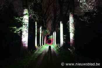 De Grote Schijn trekt je mee onder water