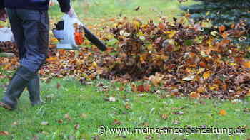 Laub im Herbst entfernen: Bei einem Fehler droht Bußgeld-Falle mit 5000 Euro