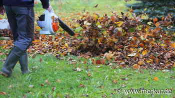 Laub im Herbst entfernen: Bei einem Fehler droht die Bußgeld-Falle mit 5000 Euro