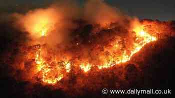 States across northeastern US put on red alert for deadly wildfires