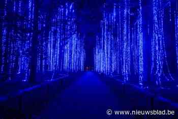 Op pad bij De Grote Schijn in Rivierenhof: Help, er zwemmen kwallen tussen de bomen!