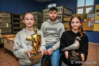 Jongeren in de duivensport: “Als er vriendinnetjes op bezoek komen, tonen ze meteen hun lievelingsduif”