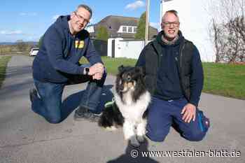 Wer übernimmt die Unterbringung von Fundtieren im Kreis Höxter?