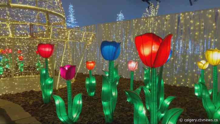 Glow Festival set for holiday return engagement in Lethbridge