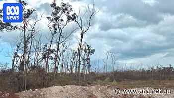 Vegetation dieback near South32's Groote Eylandt mine under investigation