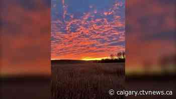 Daytime highs in the single digits for a couple; warmer for the weekend