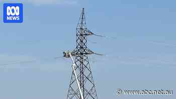 NSW residents hit by power outages to receive $200 payment, premier announces