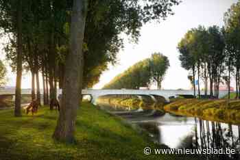 Tweede fase heraanleg N49 volop bezig: zo moet je omrijden