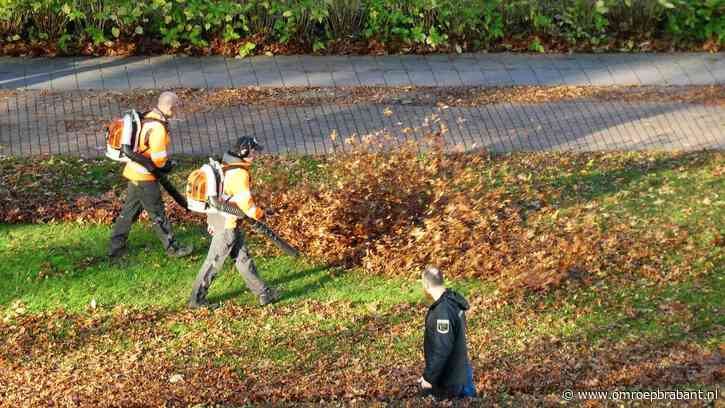 Laat blaadjes liggen en gebruik geen bladblazer, roept boswachter Frans op