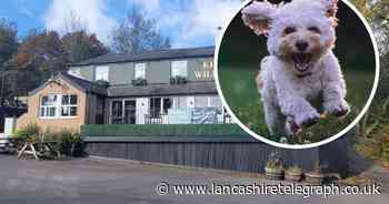 Pub with menu for pooches and 'doggy roast dinner' plus friendly locals