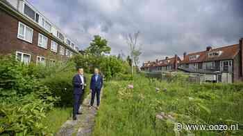 De oksel van de A10, de Ilper Tuin en de ‘witte doos’: op deze plekken in Landsmeer hebben woningbou