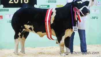 English Winter Fair cancelled due to concerns over bluetongue